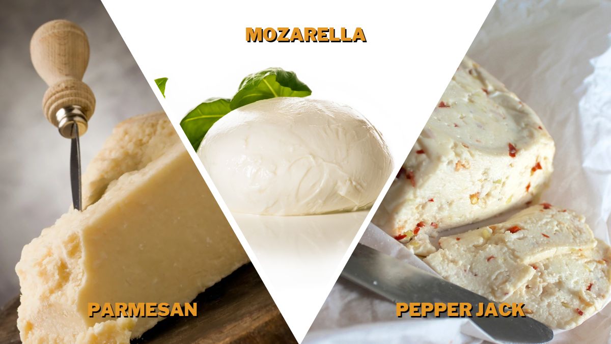 Best Cheese for Chicken Sandwich