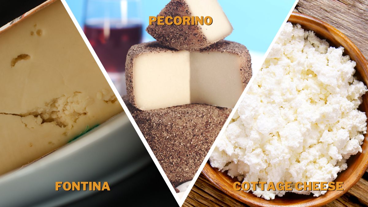 Best Substitutes for Gruyere Cheese in French Onion Soup