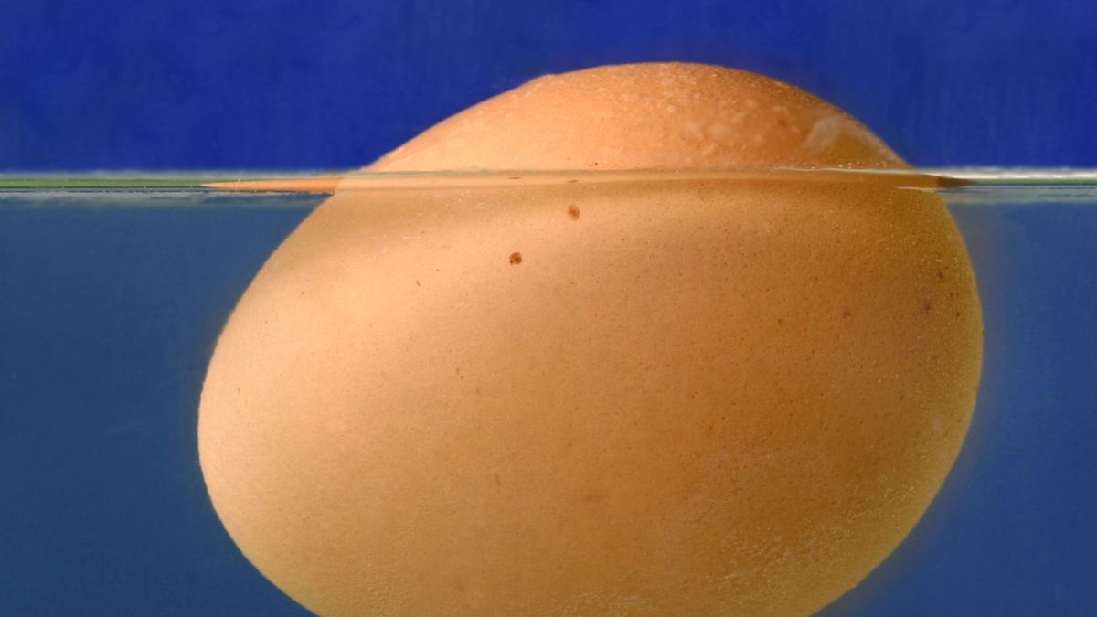 Do Eggs Float When Done Boiling