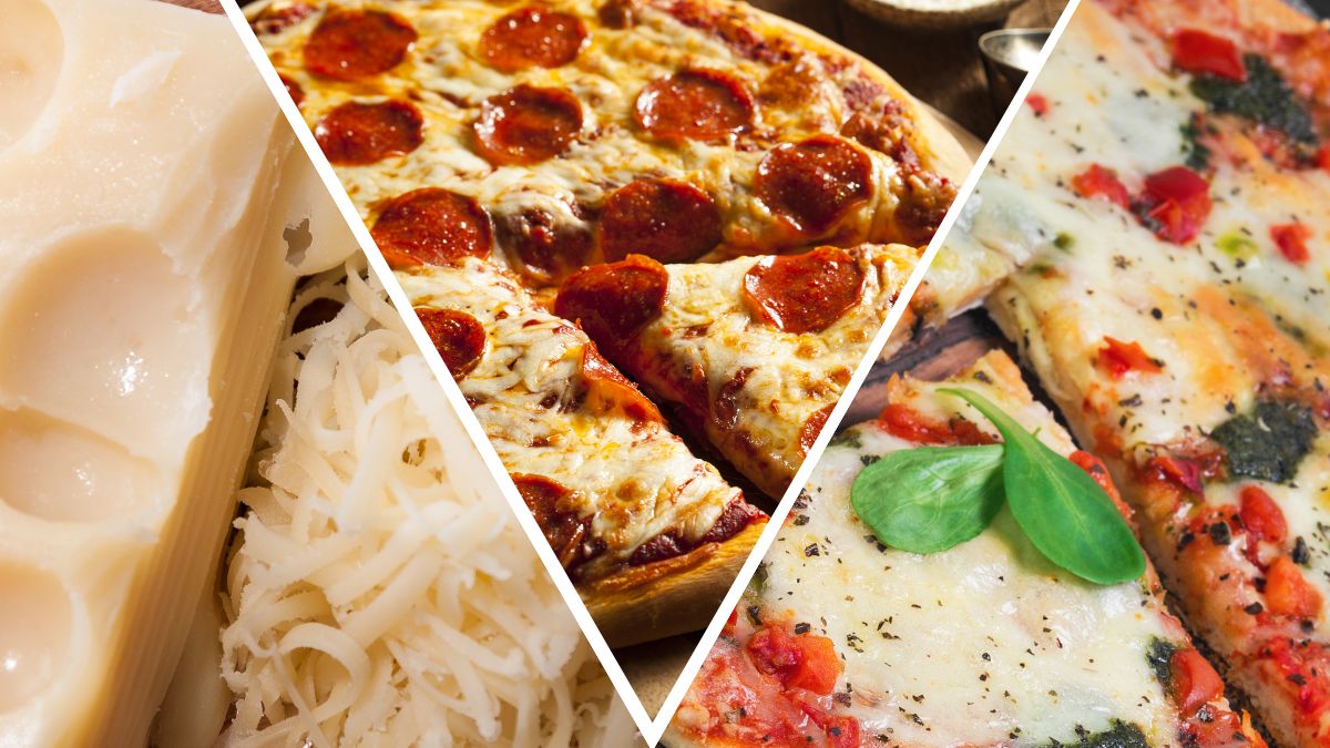 Fontina Cheese Substitutes for Pizza 1