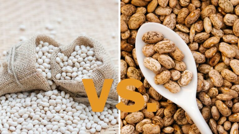 Navy Beans vs. Pinto Beans