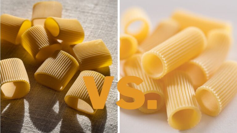 Paccheri vs. Rigatoni: Differences & Uses