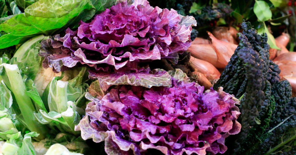 Purple Stuff in Salad