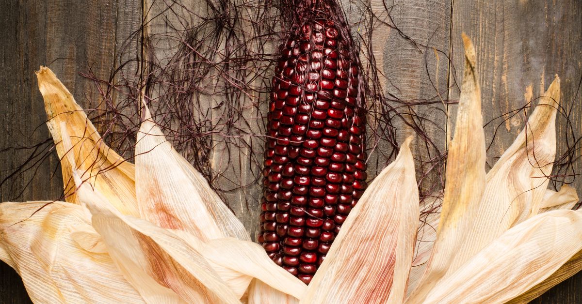 Purple Stuff in Salad