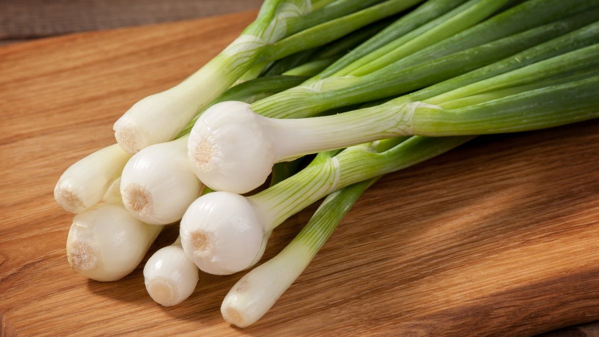 Spring Onion