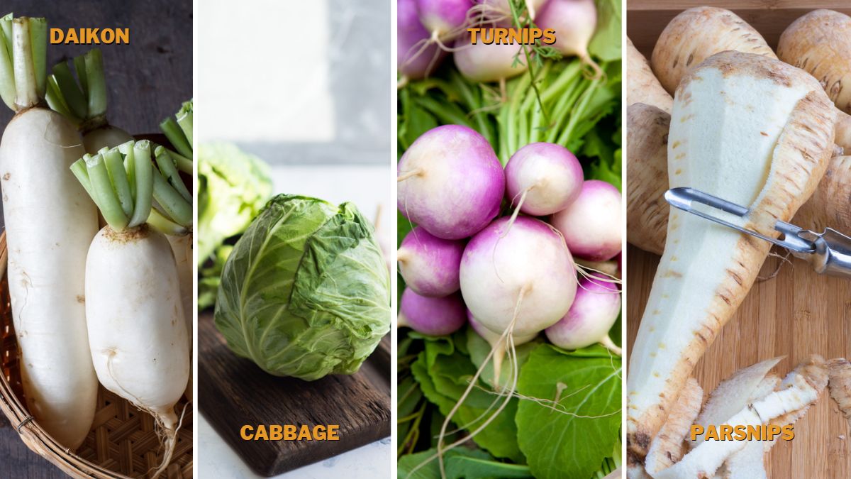 Substitutes for Radish to Try