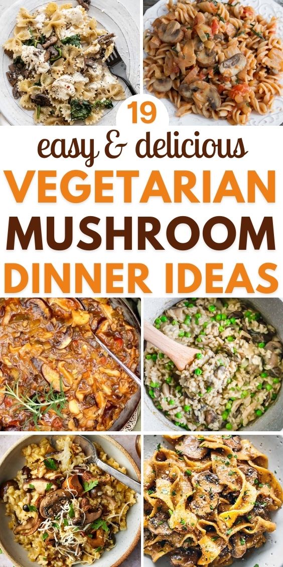 Vegetarian Recipes With Mushrooms