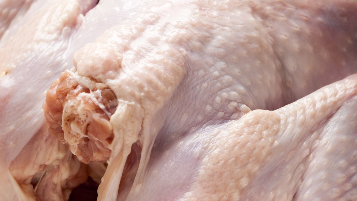 What is Utility Turkey, and Is It Worth Buying