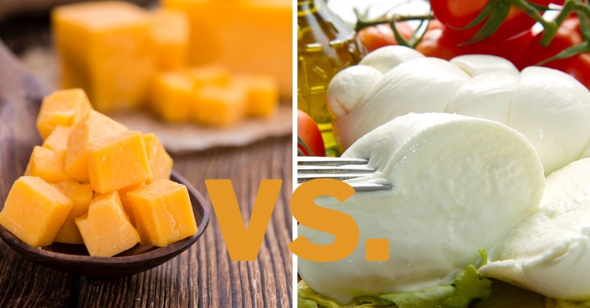 cheddar vs mozzarella