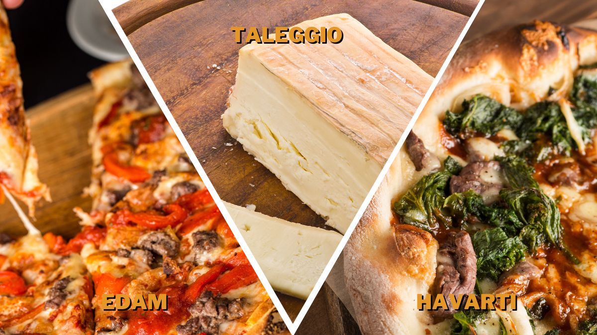 edam havarti taleggio as a substitute for fontina 1