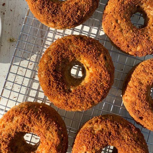 gluten free cinnamon sugar protein donuts