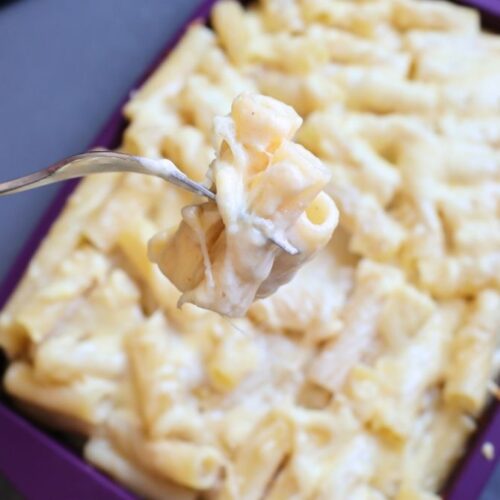 high protein mac and cheese