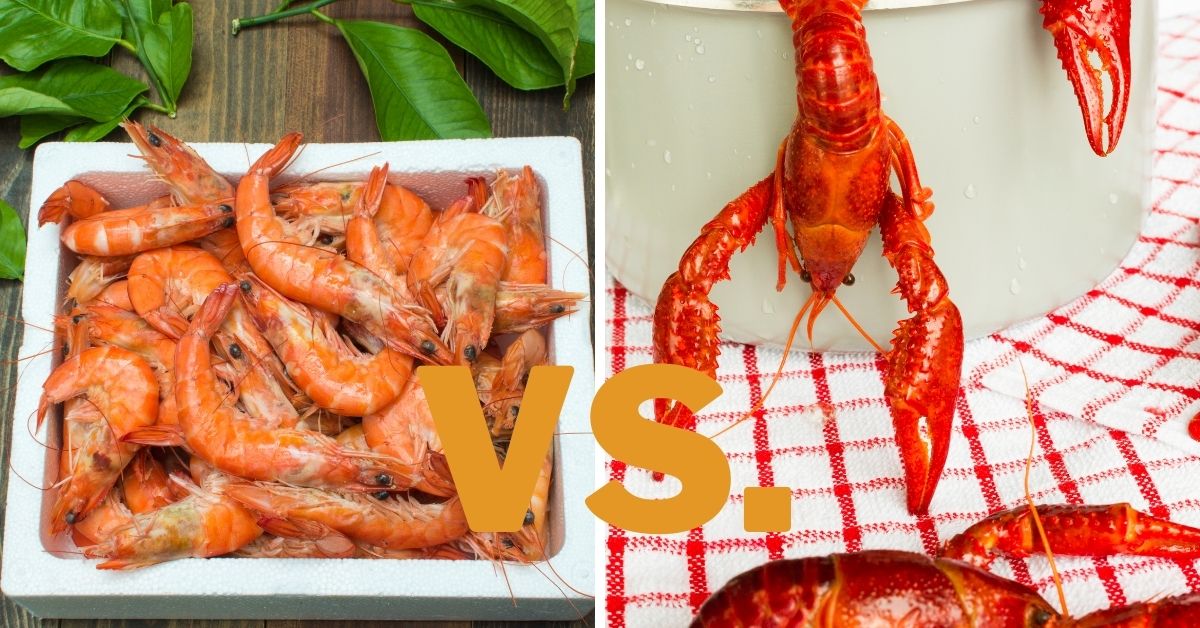 langostino vs crawfish 1
