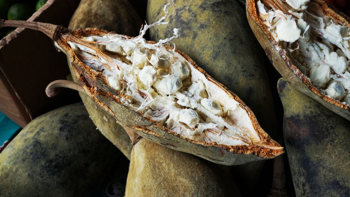 pile of Baobab Fruit, the top one is split in half