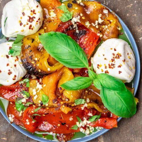 roasted peppers with burrata zaatar recipe 7