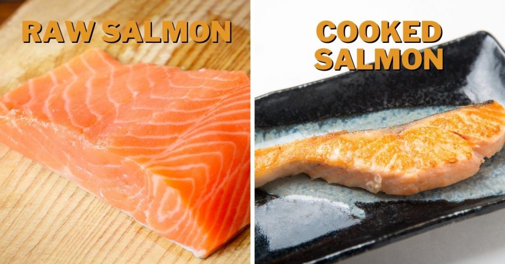 what does raw salmon taste like